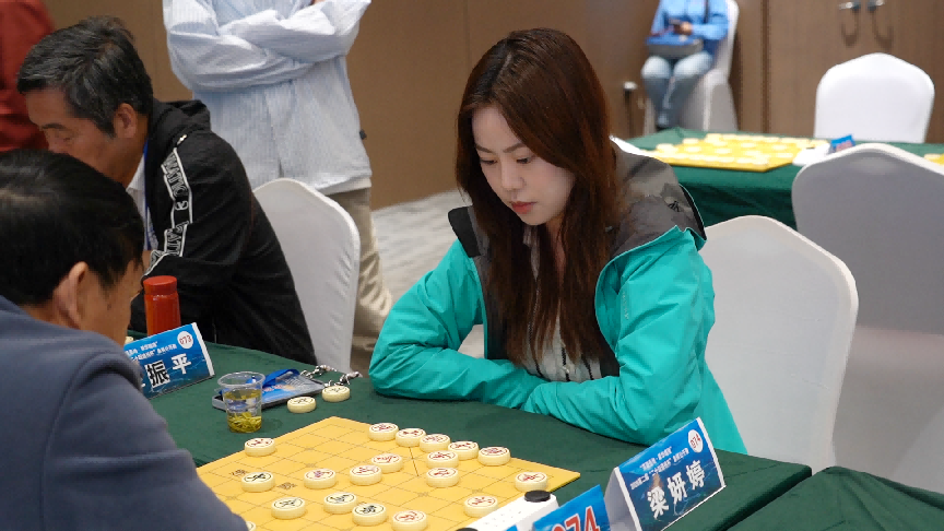 ����Դʥ��•�仪��¡��2026�ڶ��조��ʮ�ĵ��ա������幫������Ļ
