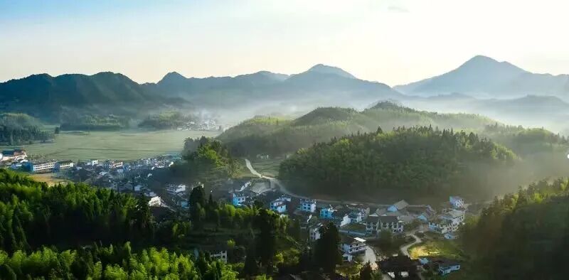 2026�ꡰ���д�T����ȫ�����幫�����������